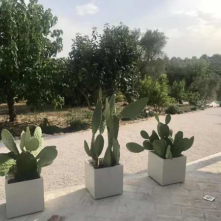 Prázdninový dům Trulli Delle Stelle Ceglie Messapica