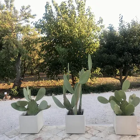 Trulli Delle Stelle Prázdninový dům