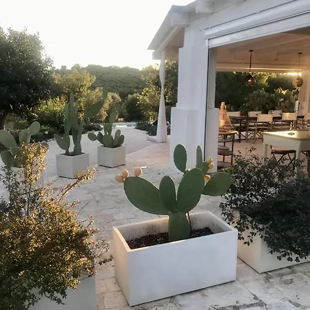 Trulli Delle Stelle *