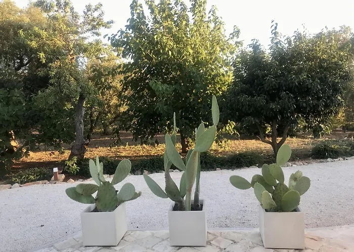 Trulli Delle Stelle 度假居